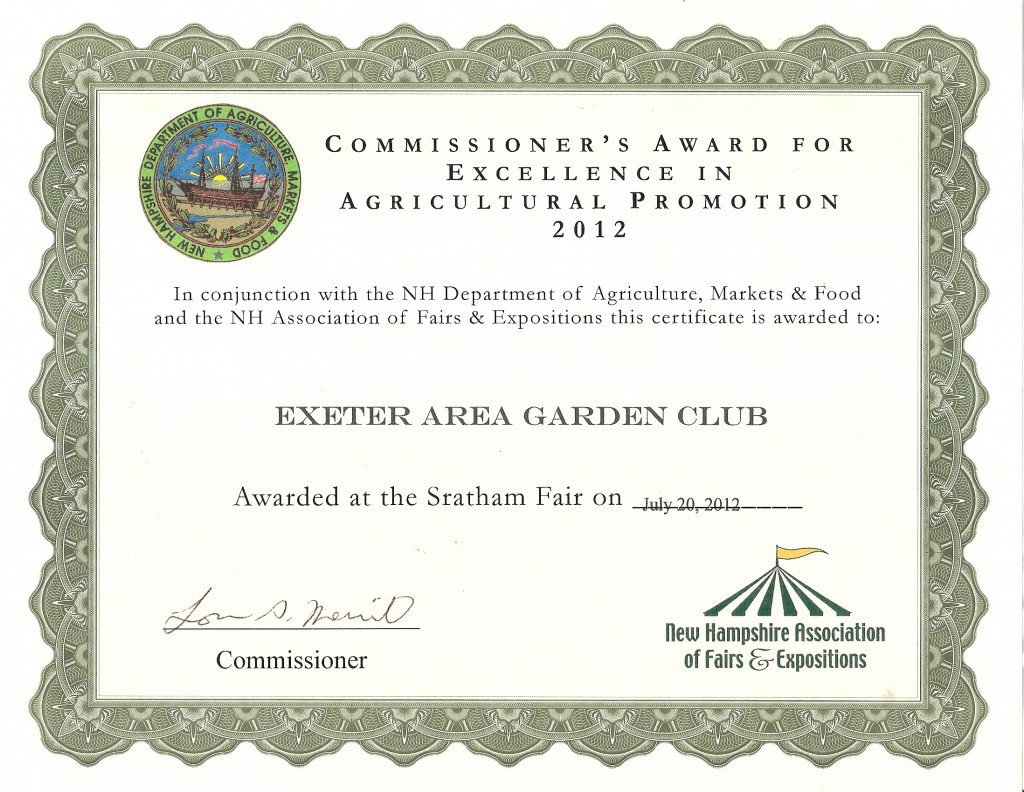 commissioner's award