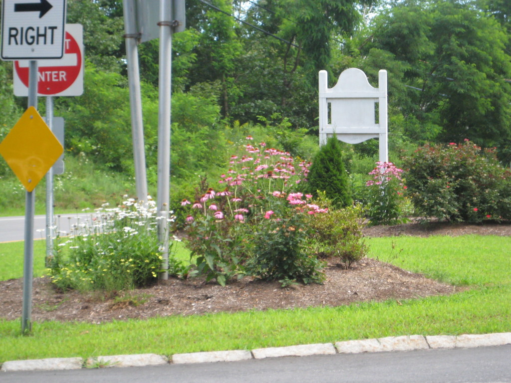 David Briden Traffic Island