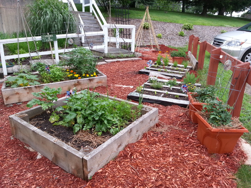 Family Promise Veggie Garden