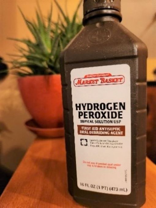 How To Kill Fungus Gnats Using Hydrogen Peroxide? - Bulk Peroxide